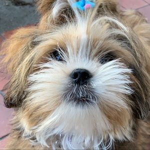 Meet your Posher, Jade